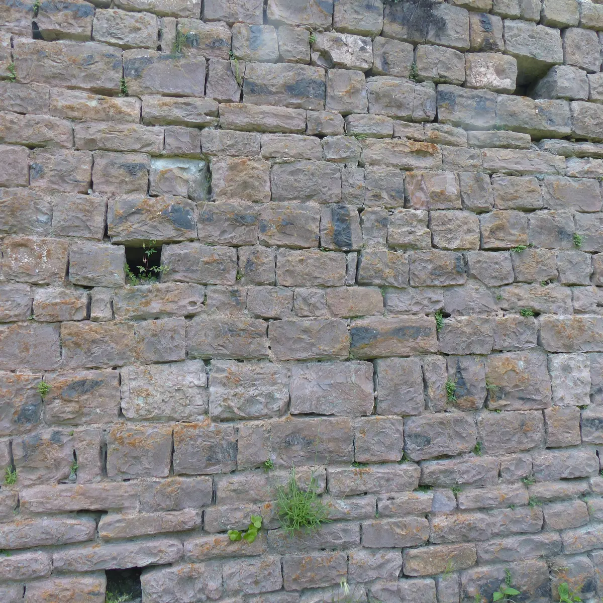 Les pierres sont assisées sur des rangs horizontaux réguliers