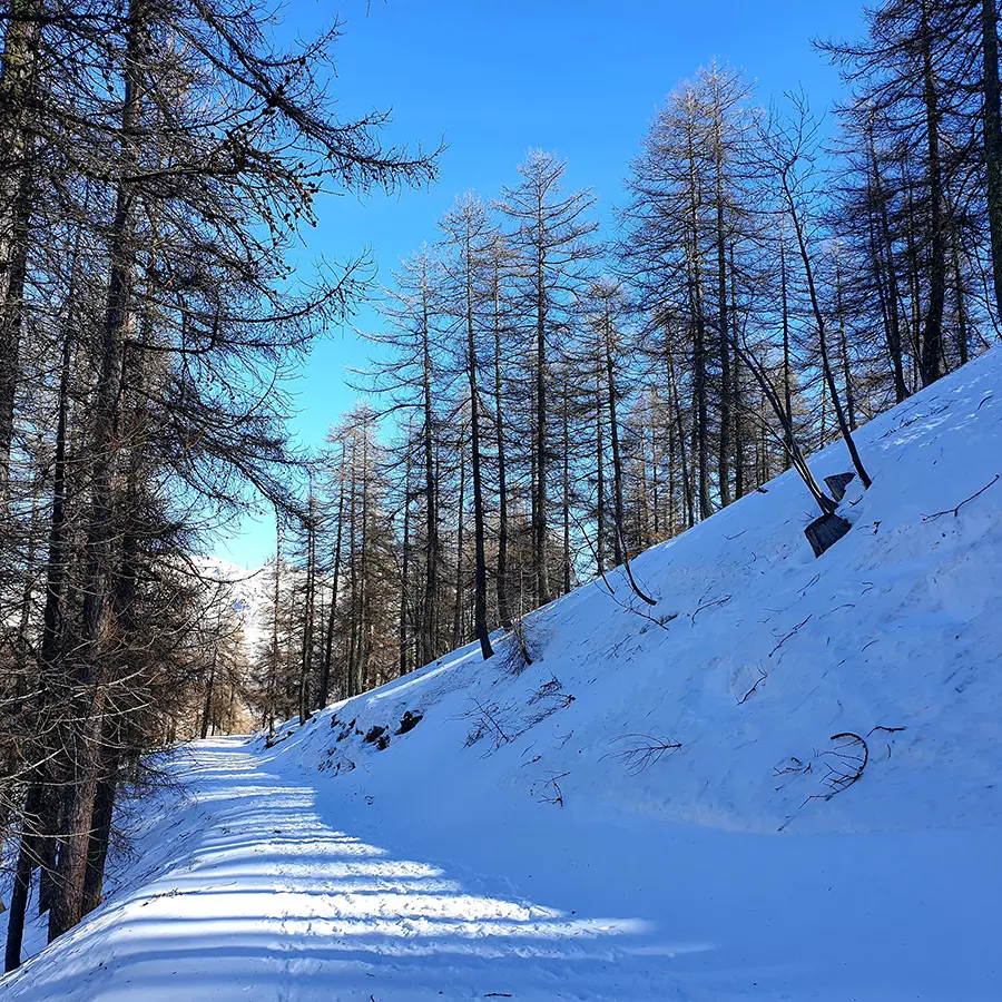 parcours raquettes valdemars