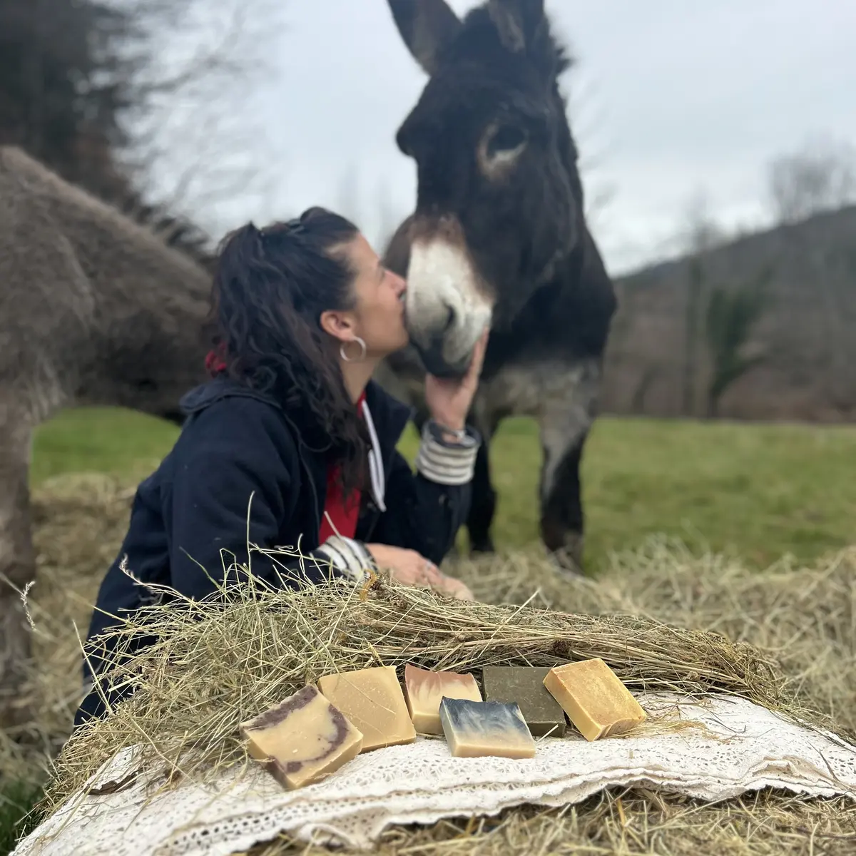 Anesse au Lait p'tits pieds