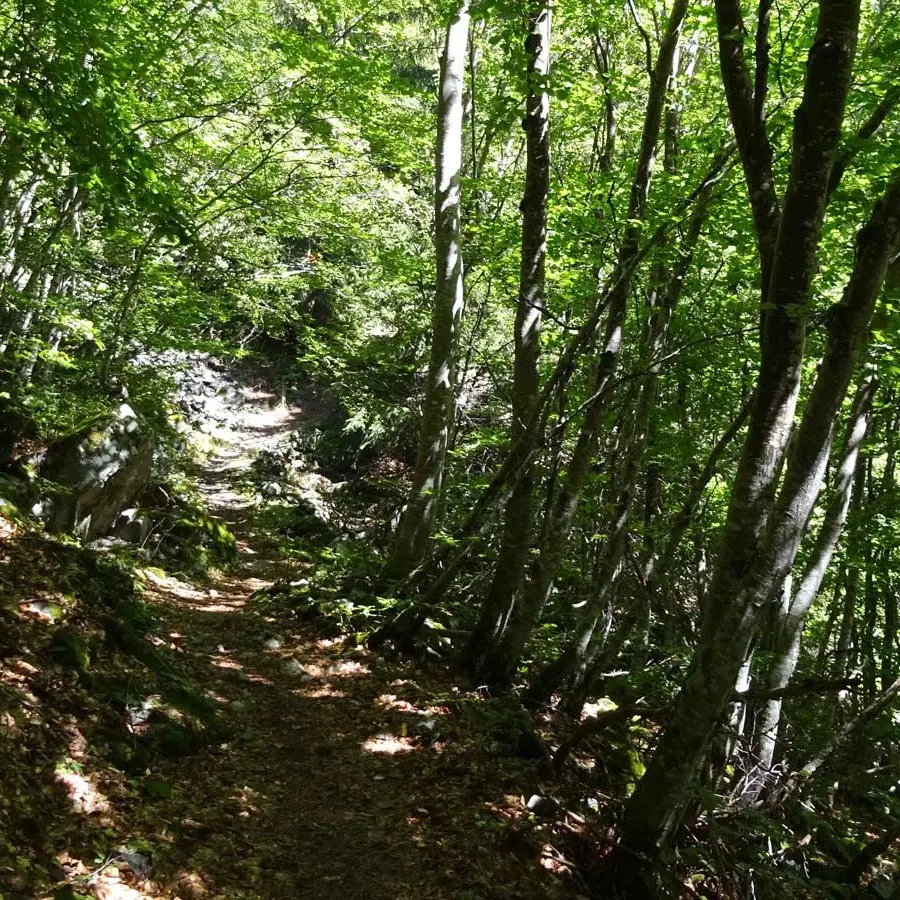 Itinéraire de randonnée jusqu'à la Cabane de Peyron roux