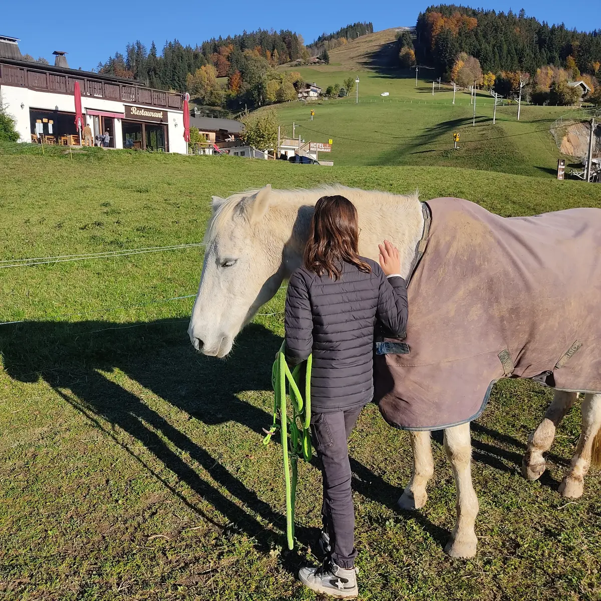 Approche du cheval