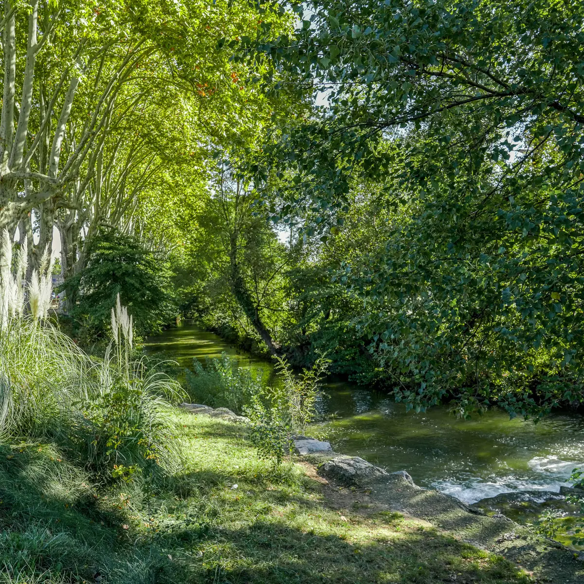 Berge du Caramy_Brignoles