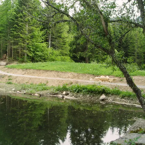 Sentier des Arbres à Sons