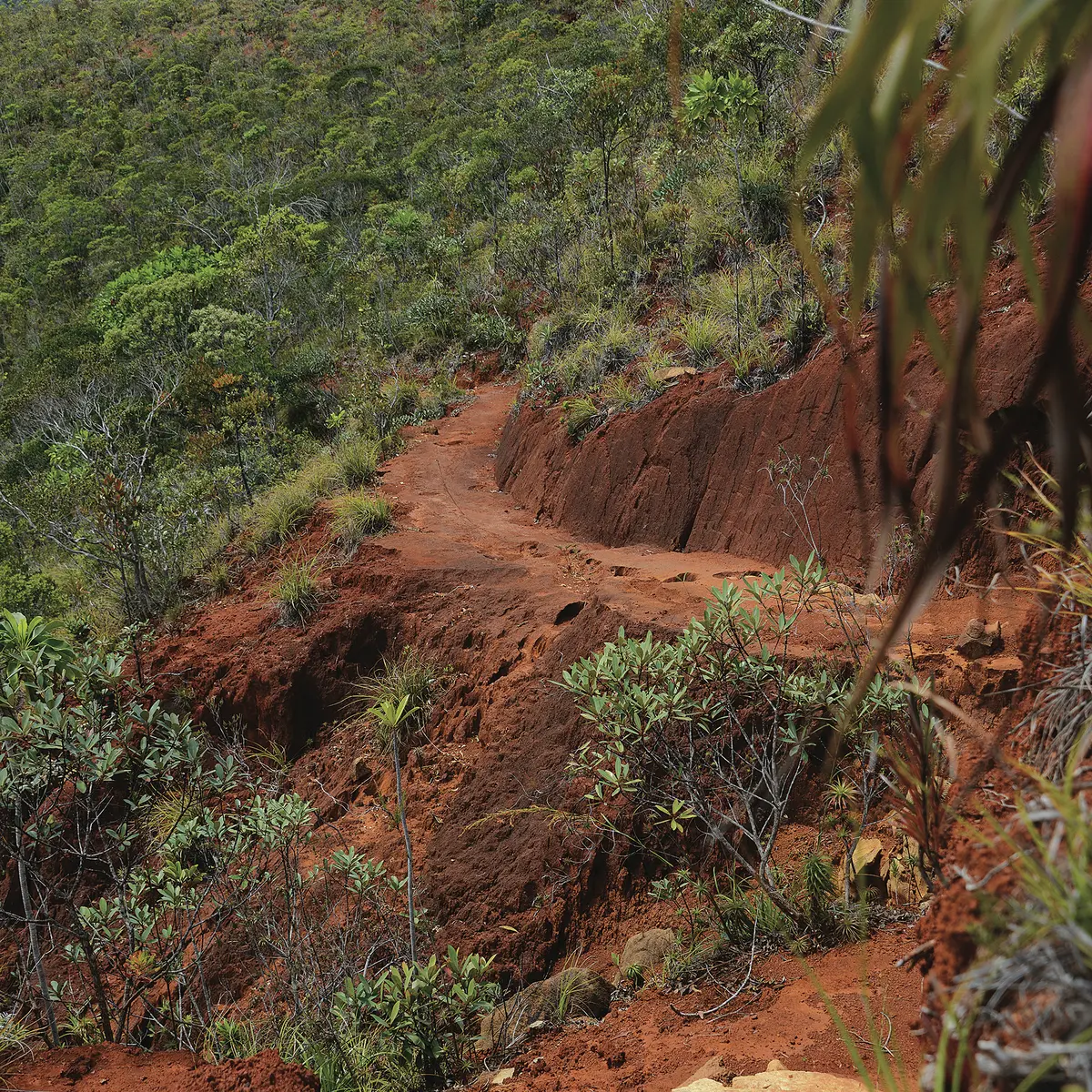 Montée vers la mine