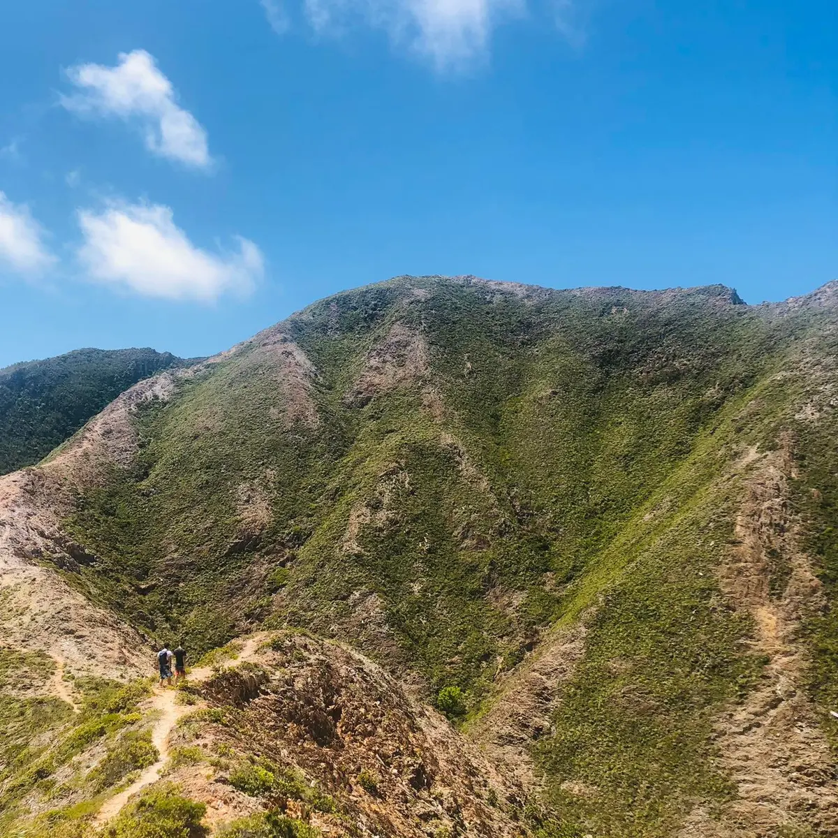 montagne, grand nord, poum, randonnée pédestre,