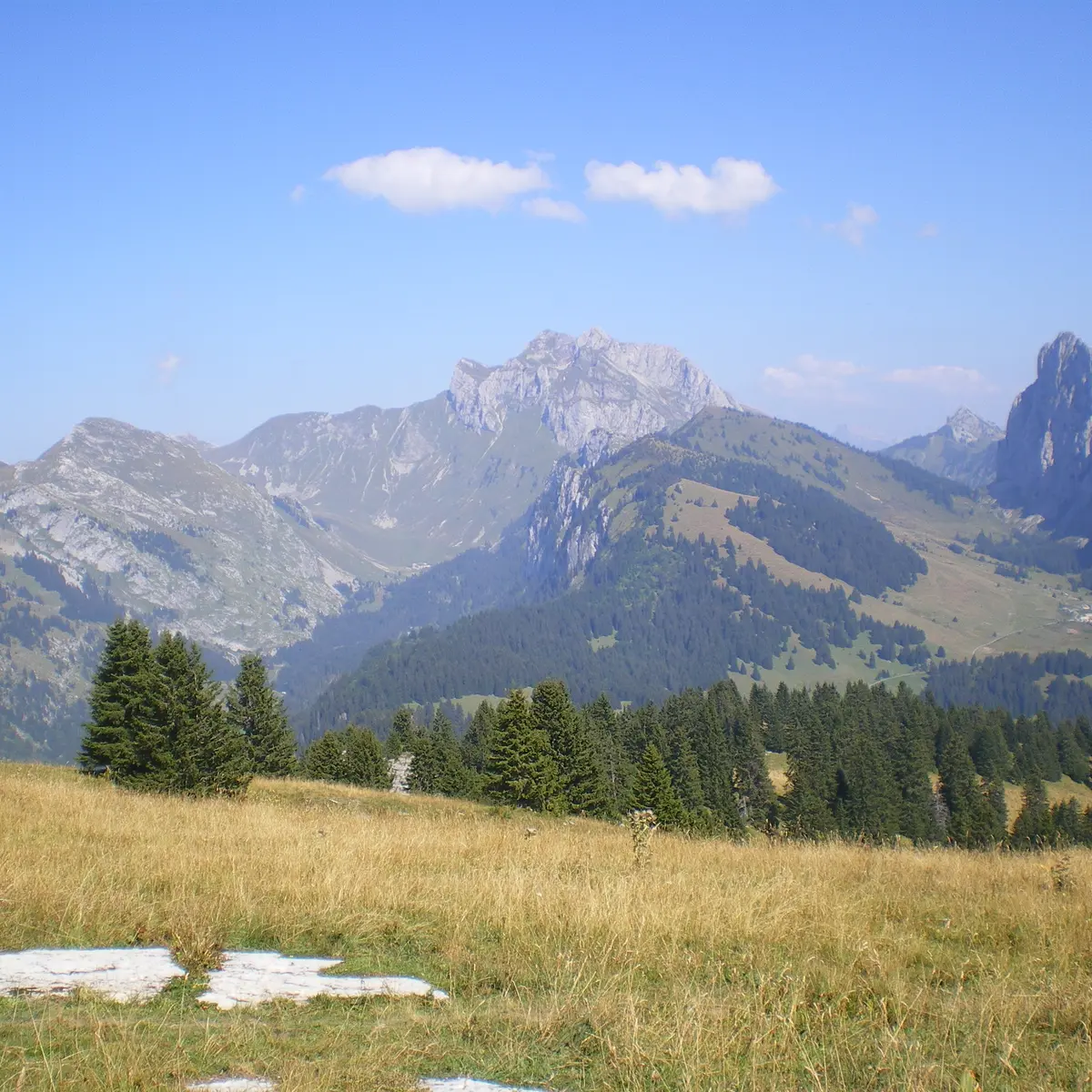 Vue sur les Cornettes, le Mont Chauffé, Bise et Ubine depuis la point d'Autigny