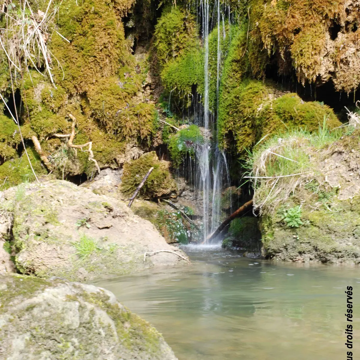 Curiosité naturelle