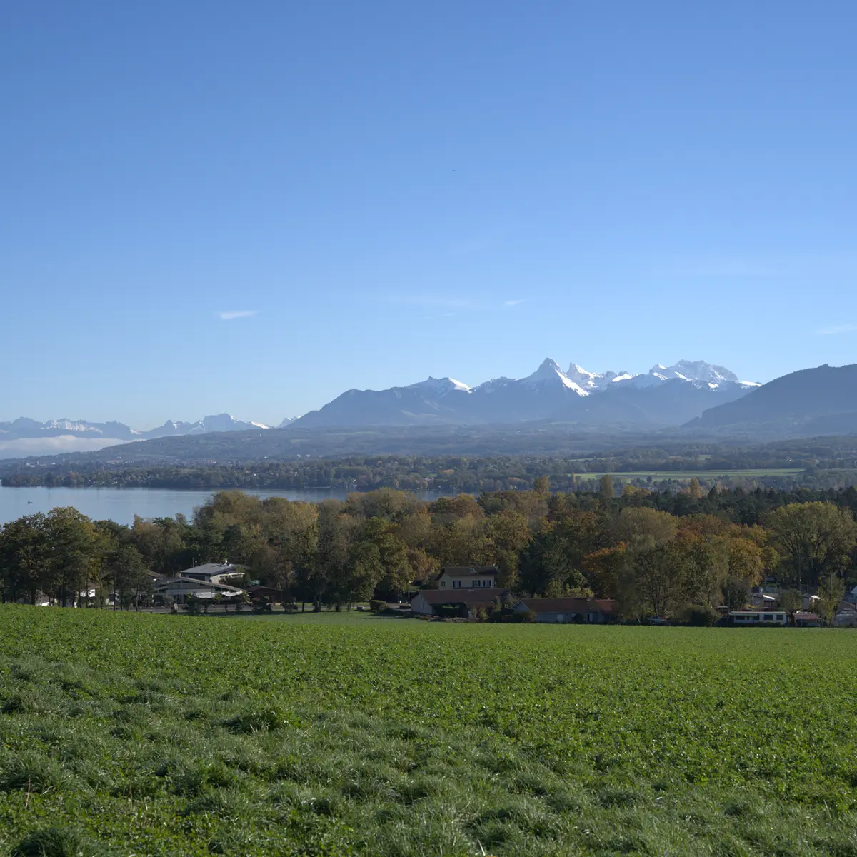 Vue panoramique