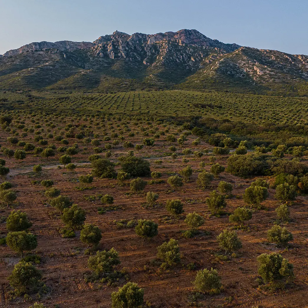 Domaine Jòlibois_Aureille