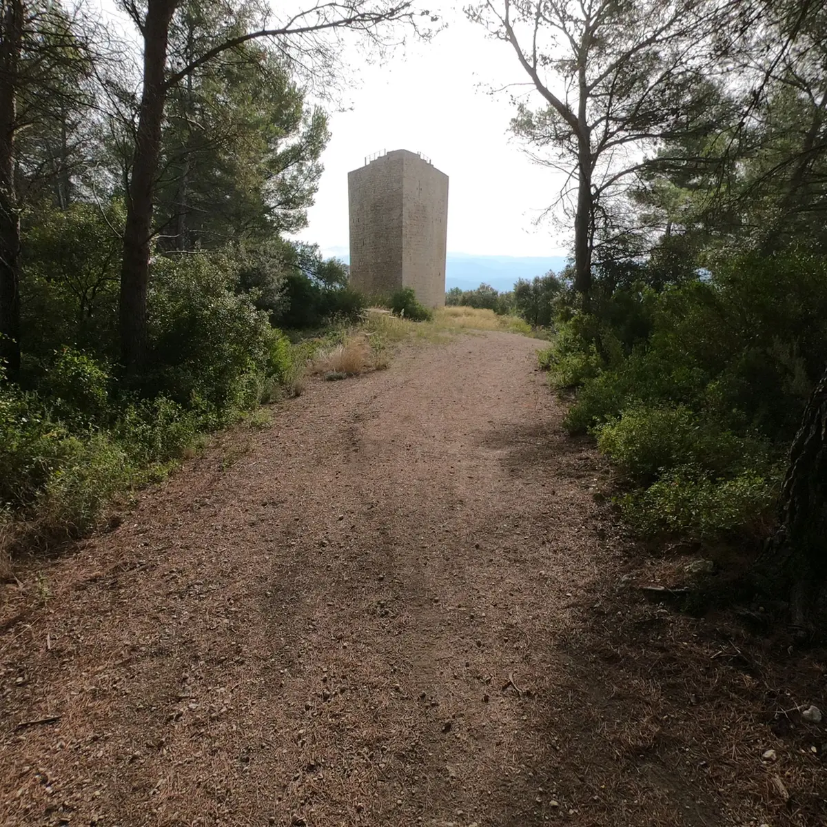Tour du Défens vue du sentier