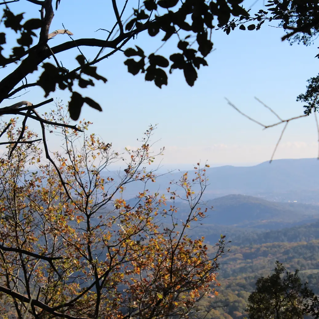 Peygros