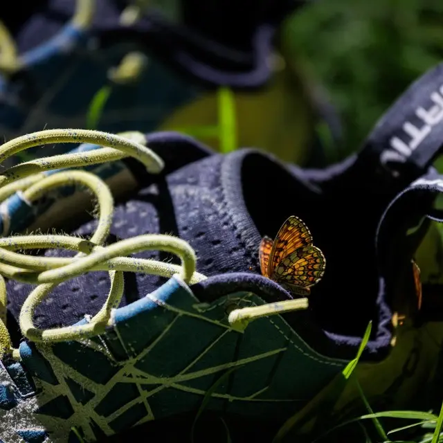 Souriez, vous êtes à Ailefroide