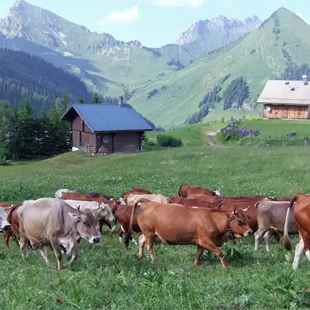 Chalet des Bons Fromages