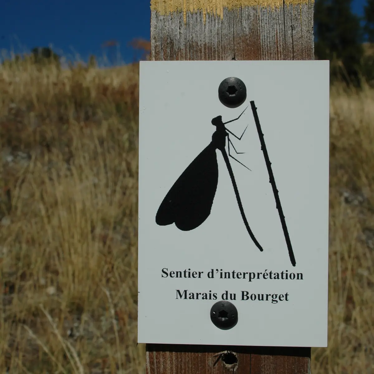Sentier d'interprétation du marais du Bourget