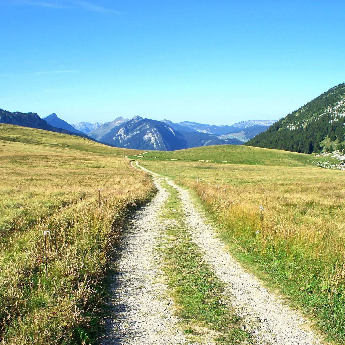 Sentier