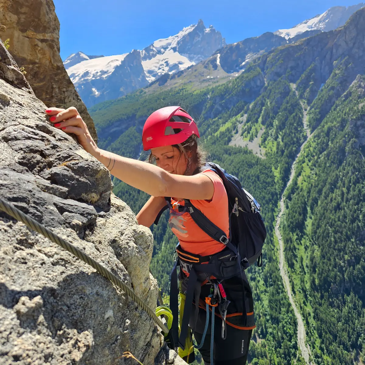 Entre barreaux métalliques et rocher
