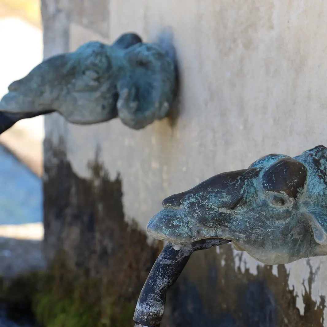 Canon de distribution