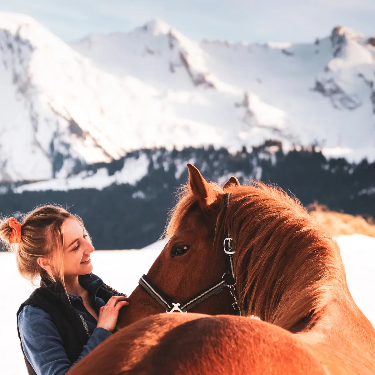 Médiation équine au Grand-Bornand