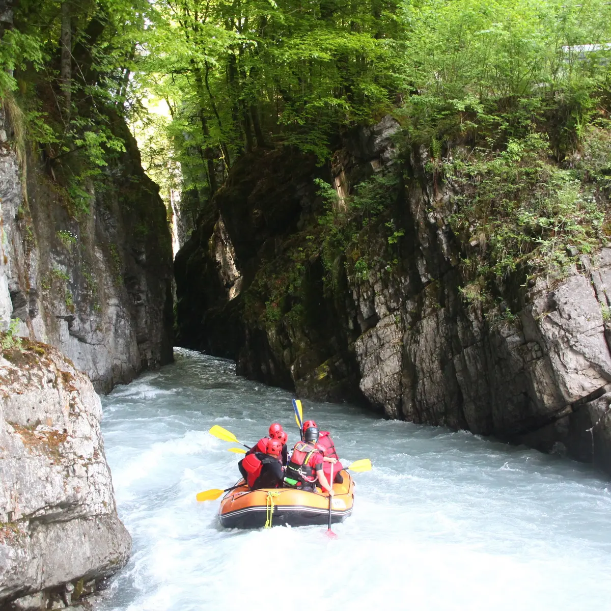 les gorges des tines