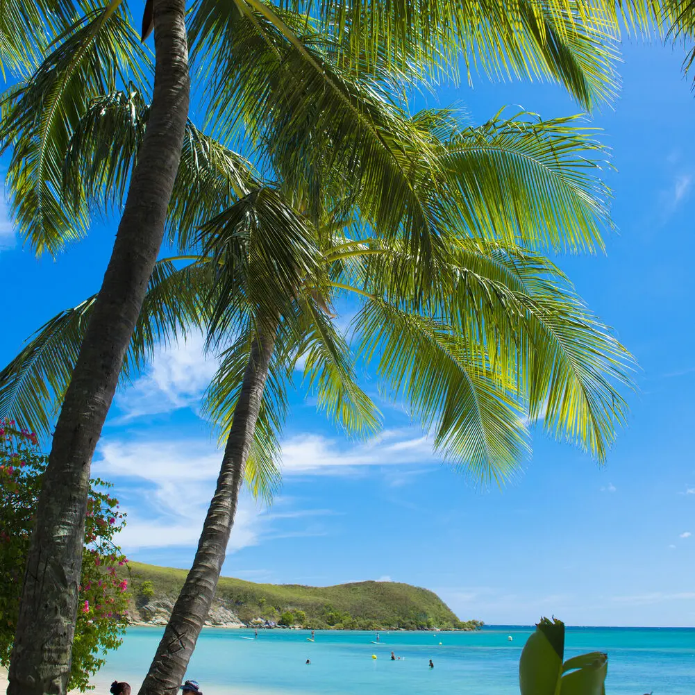 Nouméa Sup School