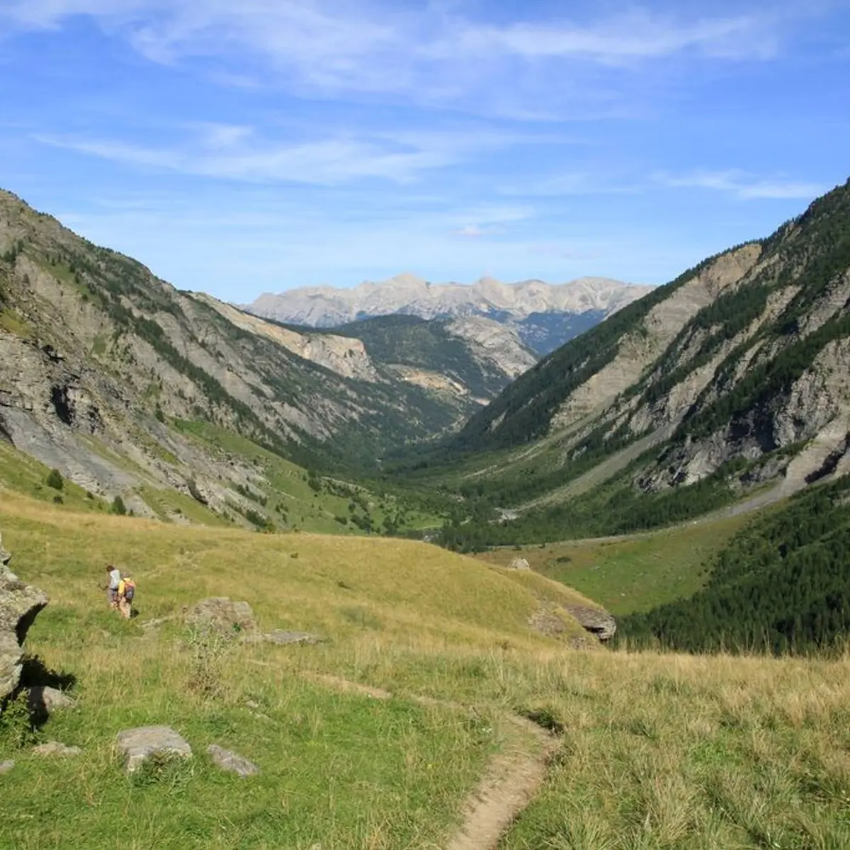 Vallon du Fournel depuis la Balme