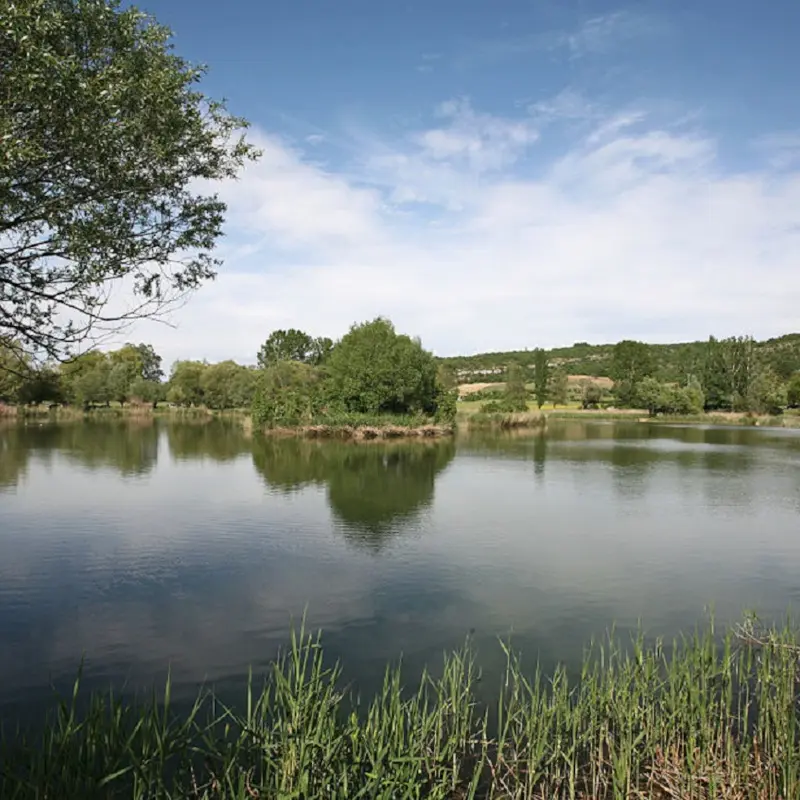 Plan d'eau de Monieux