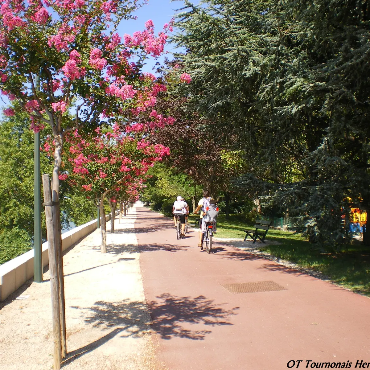 Viarhona côté rive gauche