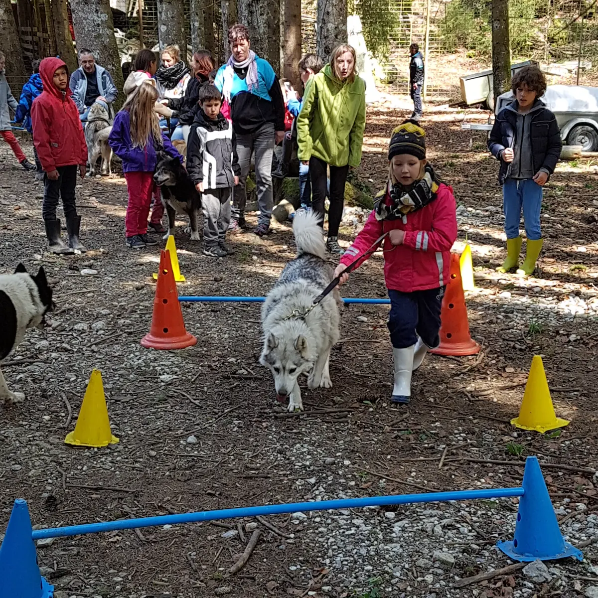Les Ateliers du Parc Nordique - Agilty