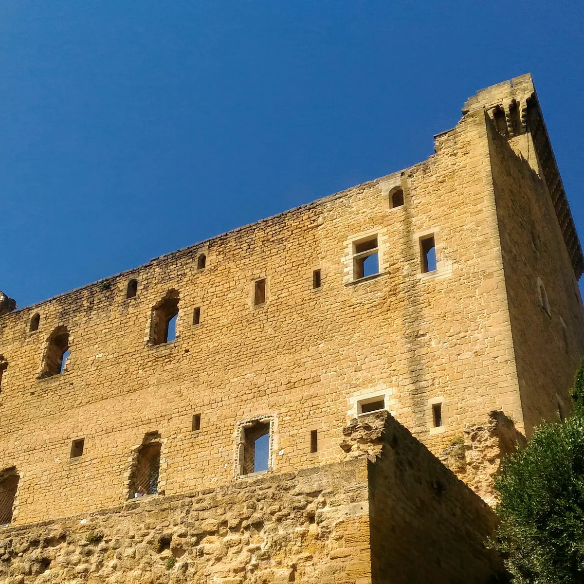 le Château des Papes