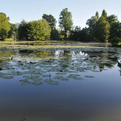 Plan d'eau Dompierre_Crédit C.Thieux (2)