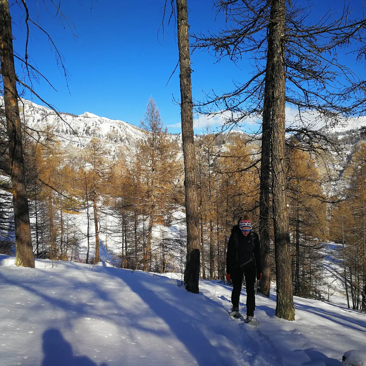 Raquettes avec Dam-nature04