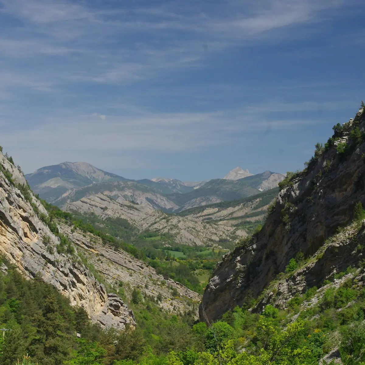 La clue du Gouravour