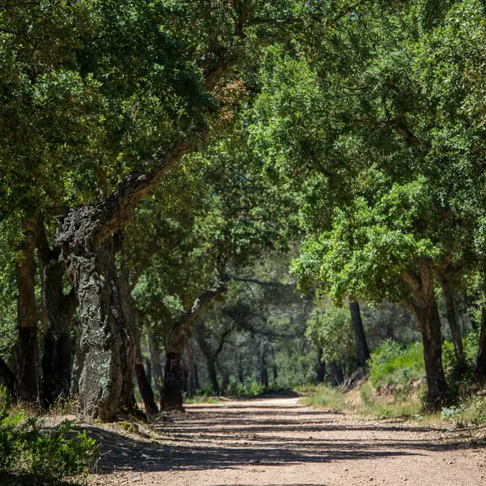 Espace nature