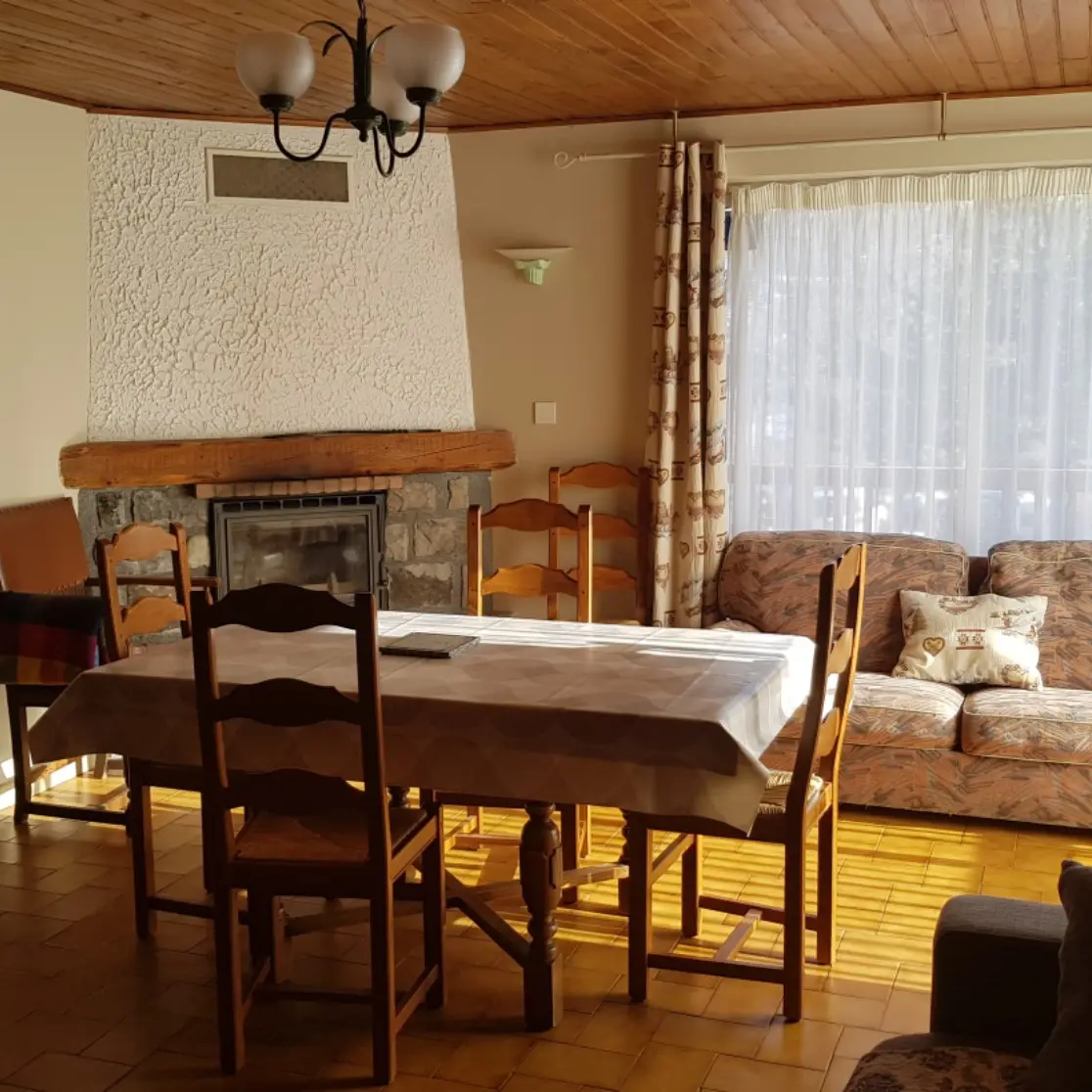 Grand salon d'appartement lumineux, avec table à manger, canapé, cheminée, fauteuil, grande fenêtre, sol carrelé