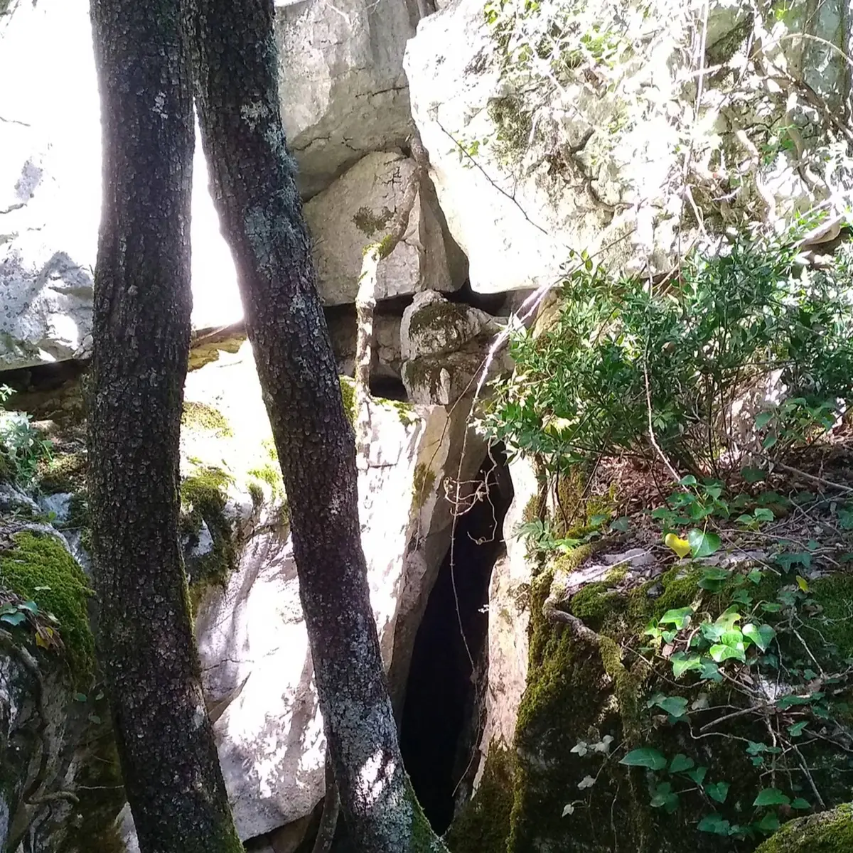 Cavité dans une roche aux abords du sentier