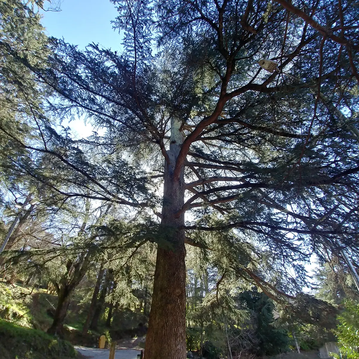 Patrimoine naturel en Méditerranée Porte des Maures