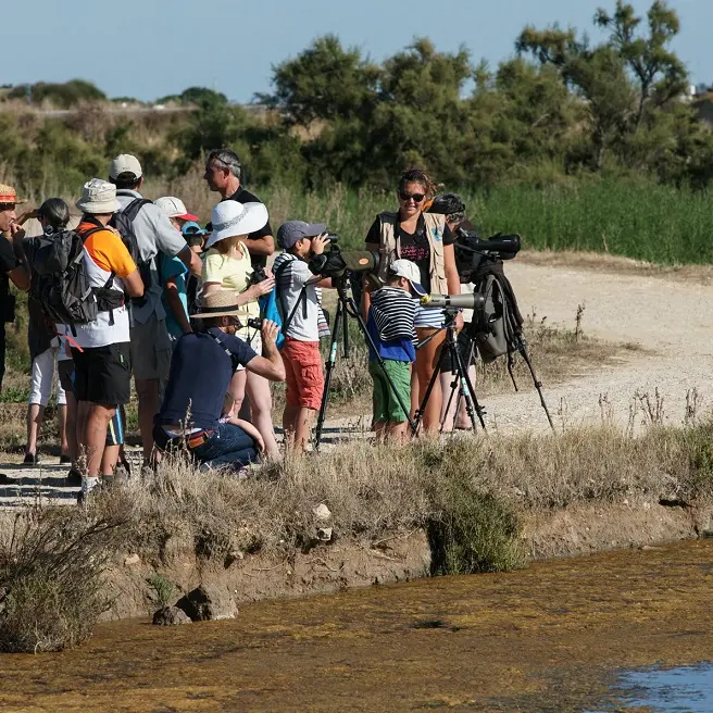 Vögel- und Naturausflug