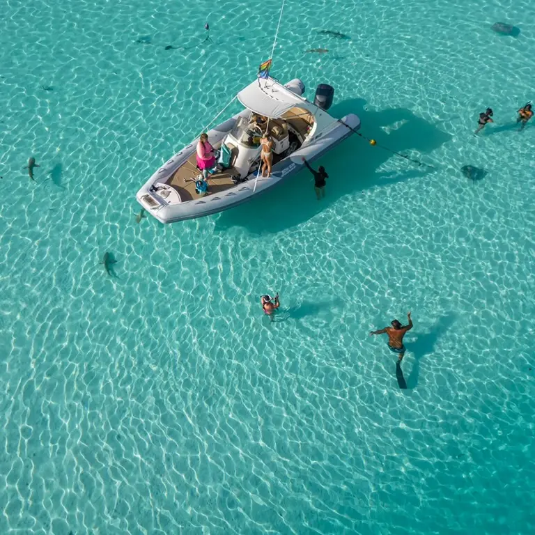 SARL Kavic_Moorea-Maiao