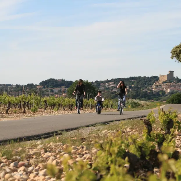 De la Venise Provençale aux vignobles de Châteauneuf du Pape
