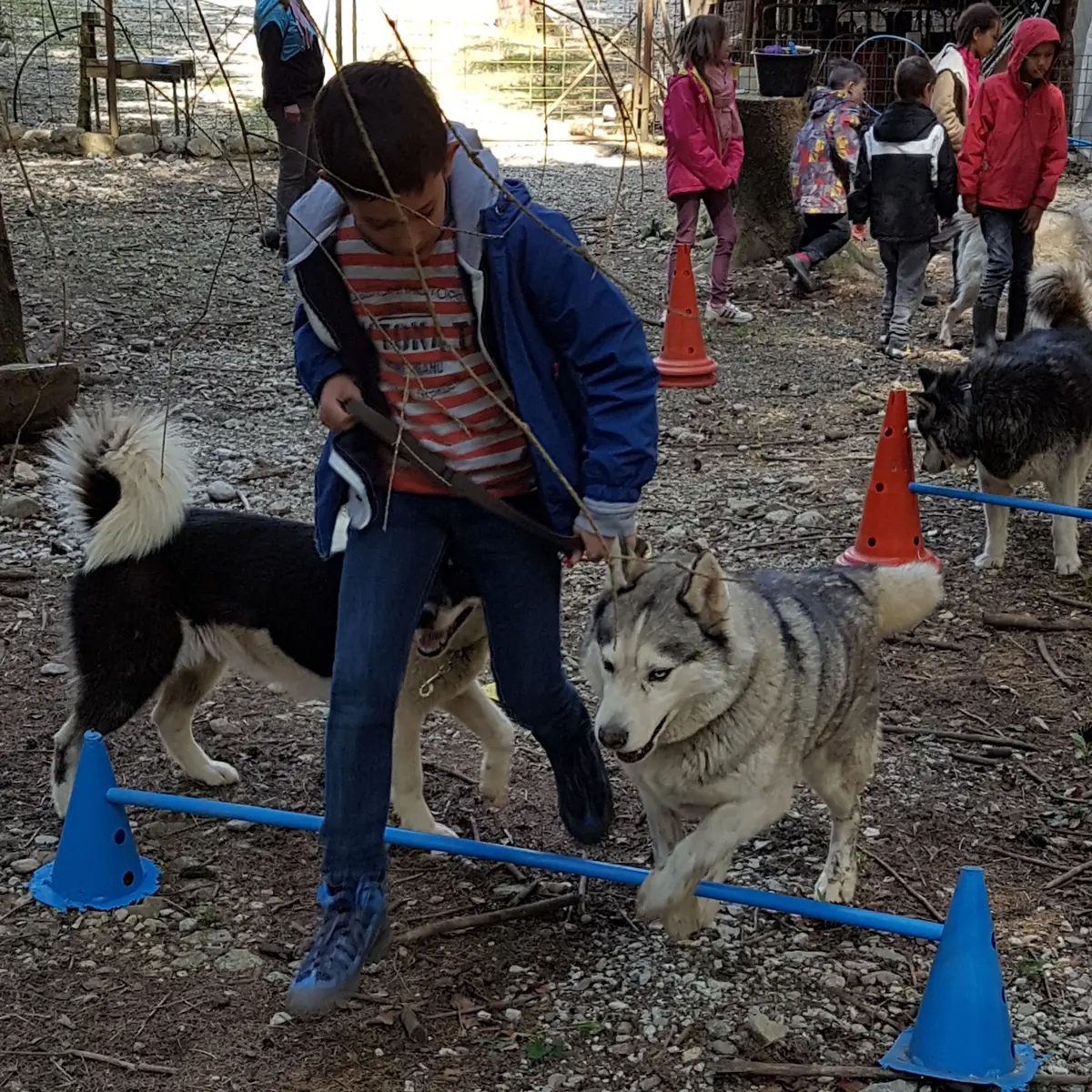 Les Ateliers du Parc Nordique - Agilty