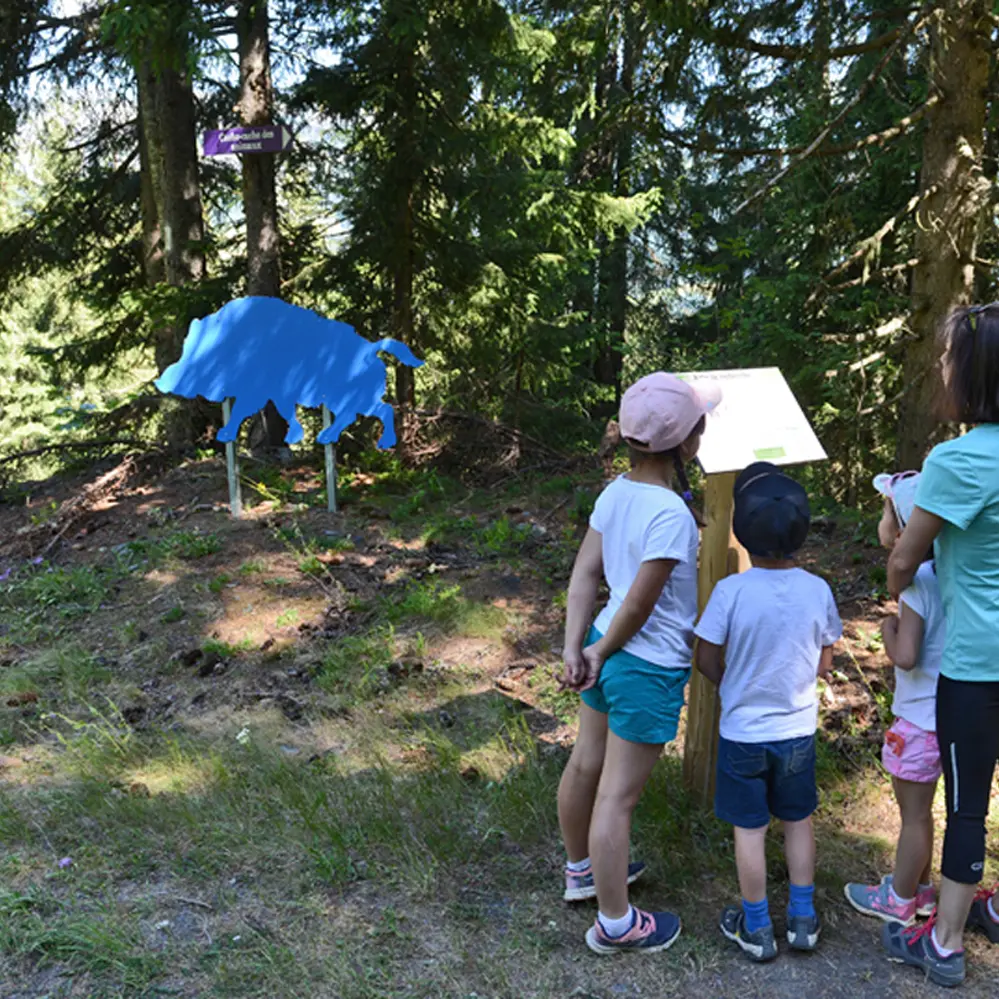 Parcours Cache-cache des animaux