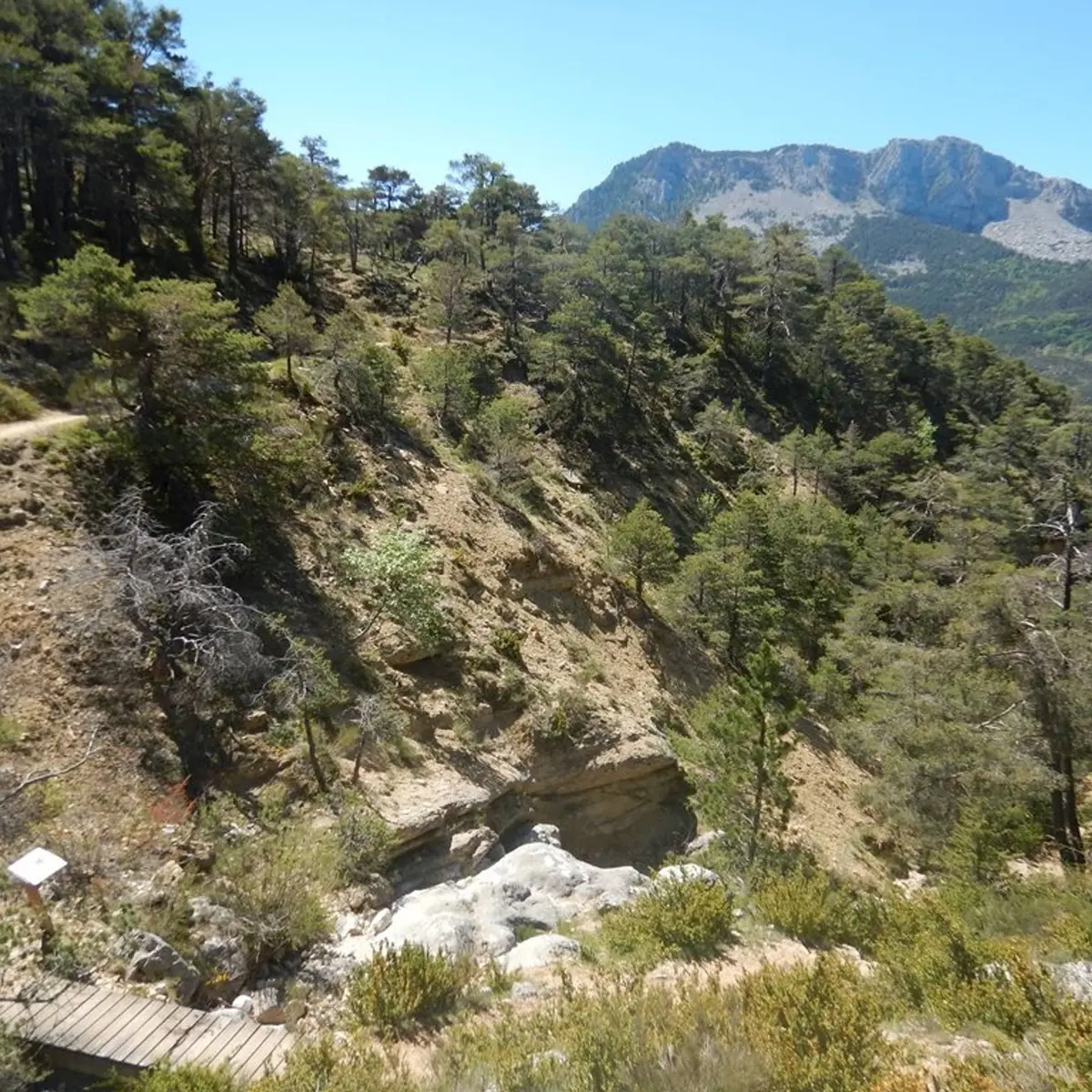 Le ravin de Ressacier