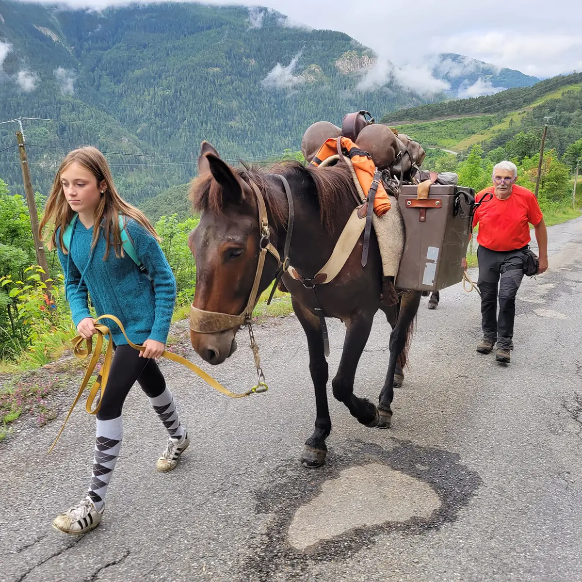 Les Crinières des Cimes