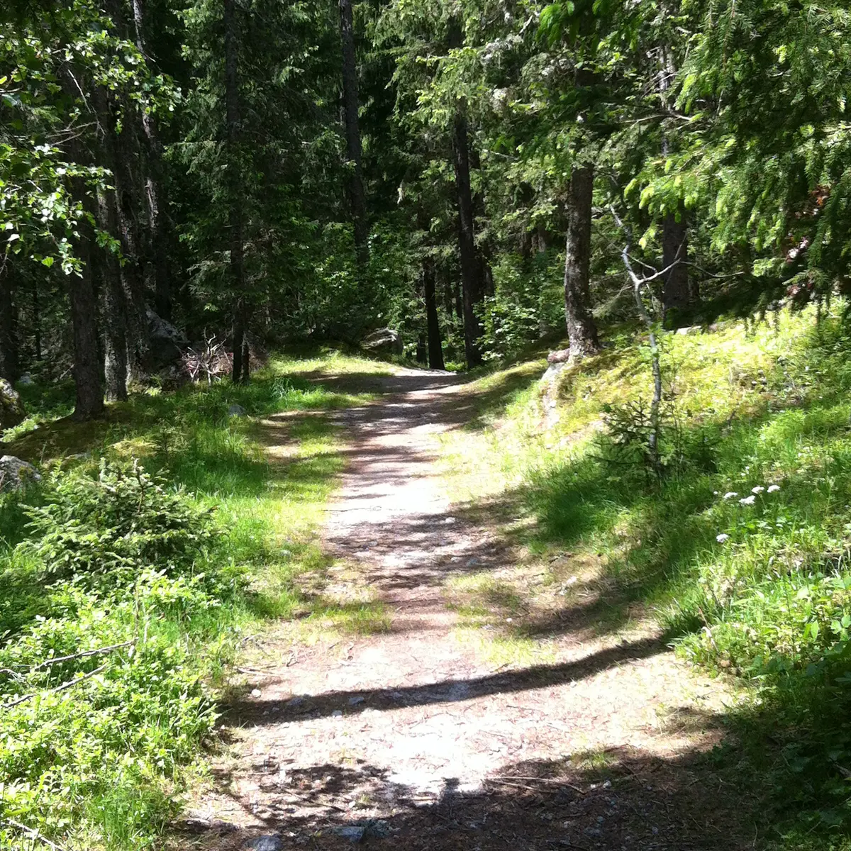 Sentier du Petit Balcon Nord
