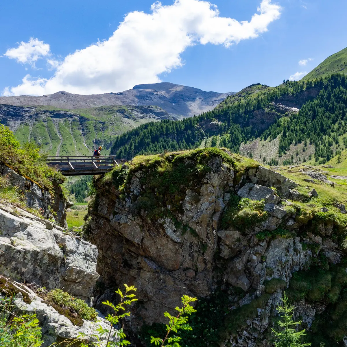 Pont du Saut du Laïre