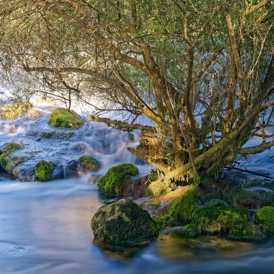 Vue sur la sorgue et petite cascade et sous-bois vert