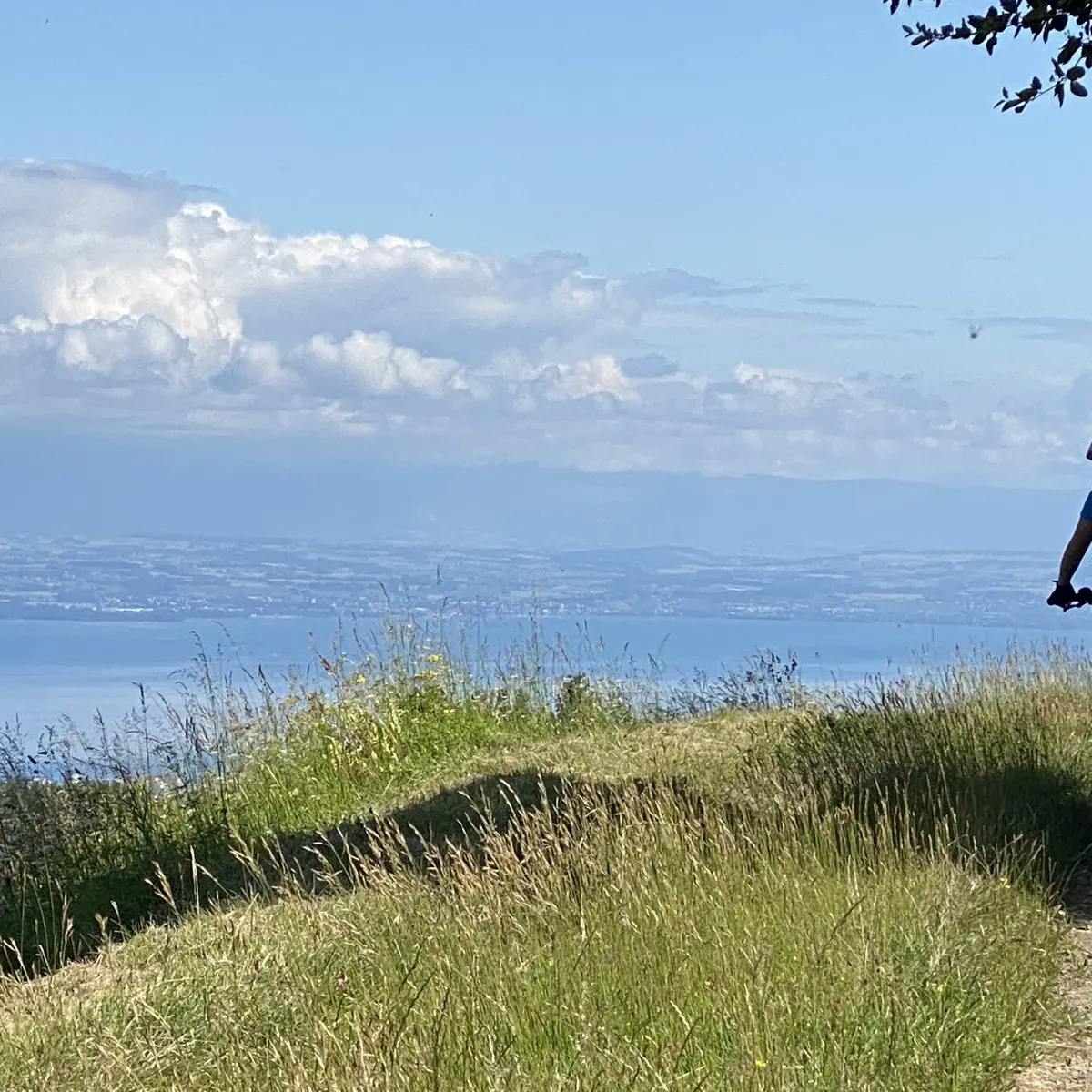 Vue sur le Léman