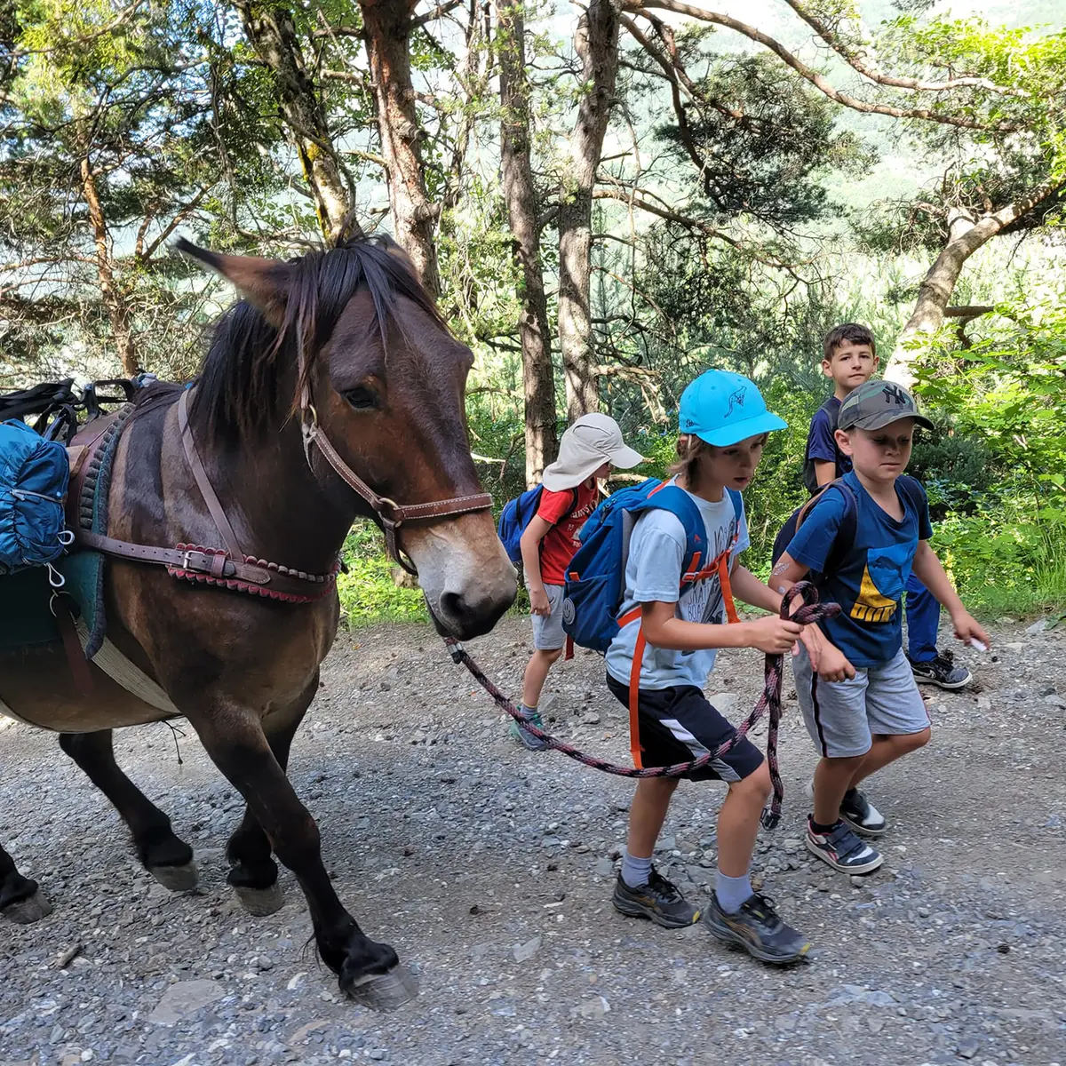 Les Crinières des Cimes
