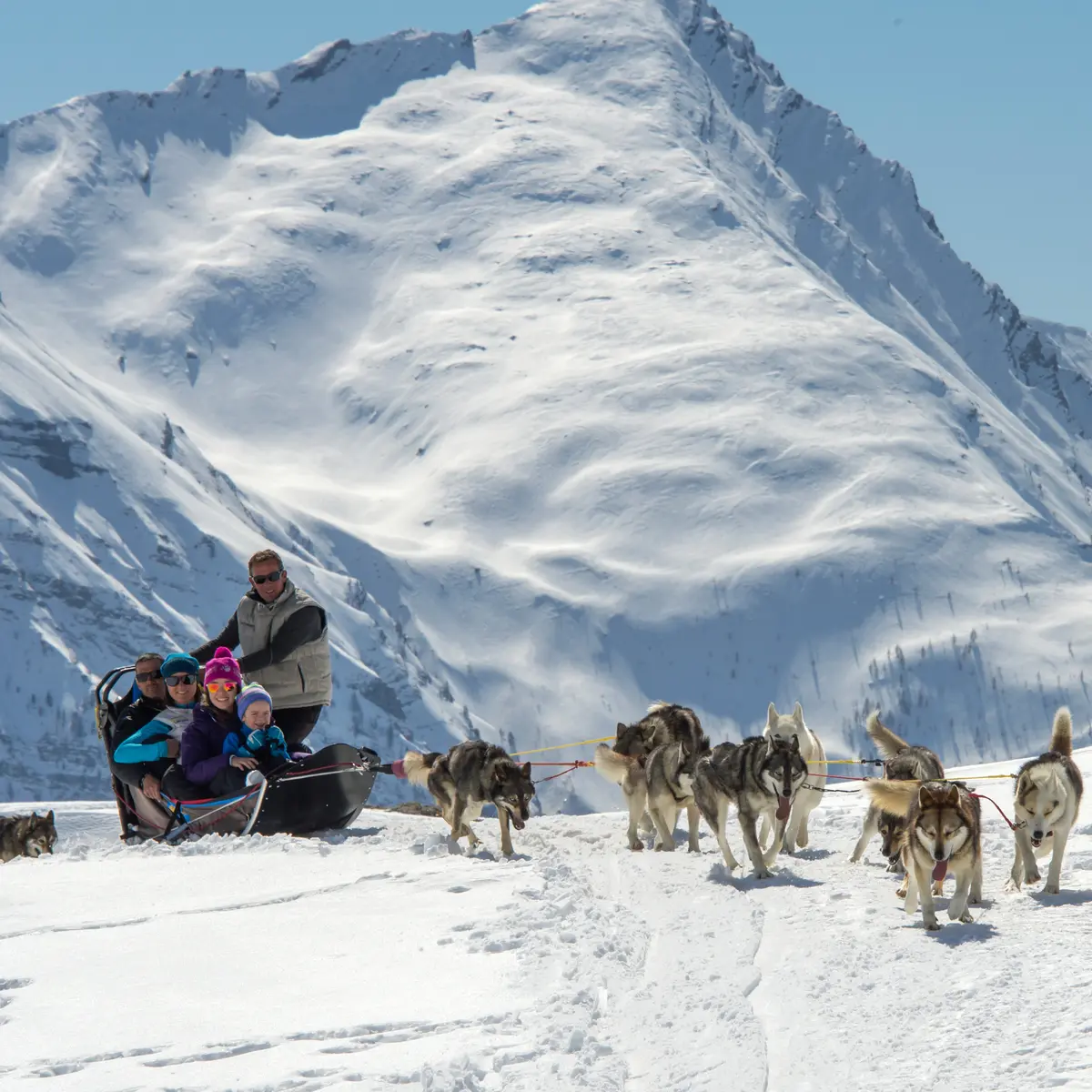 Le Tour de Rocherousse