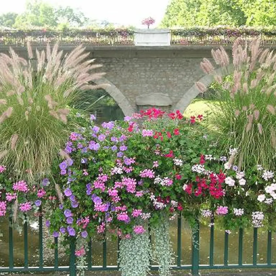 Ville Fleurie